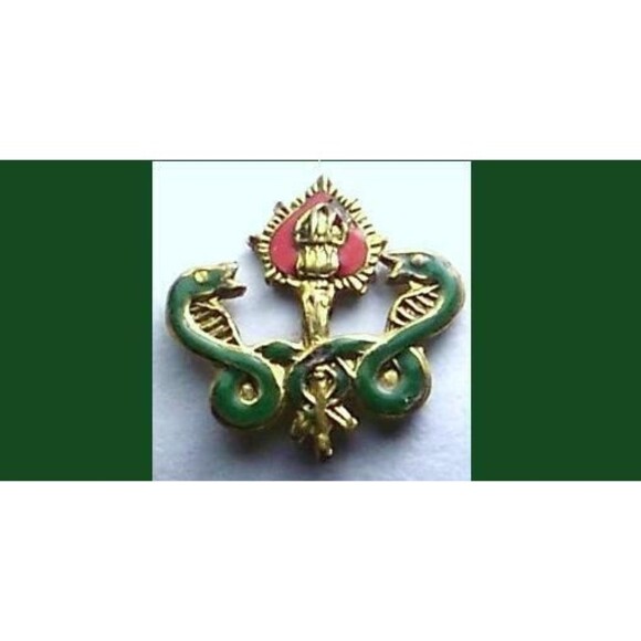 Medical or Religious, Fraternal Society Snakes & Heart lapel Pin - Picture 2 of 3